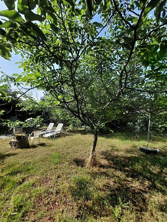 Apartment Garden Premantura 0*,  Croatia